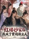 红楼抄家后,我成了贾府新主人!