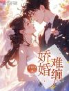 娇婚难缠
