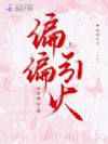 偏偏引火