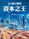 从A股小散到资本之王