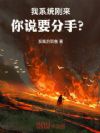 我系统刚来,你说要分手?